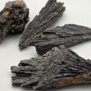 Taramita Escoba de Bruja Natural