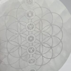 Placa Selenita Flor de Vida 7 Chakras