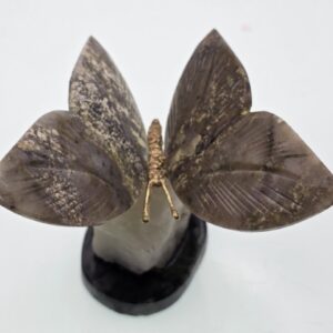 Mariposa de Serpentina